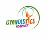 1st Class Gymnastics Academy company logo