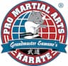 PRO Martial Arts Bridgeville company logo