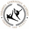 Sarasota Surge Gymnastics company logo