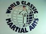 World Classic Martial Arts company logo