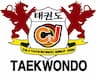 C&J Taekwondo company logo