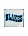 Blake's Gymnastics Training Academy company logo