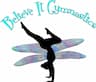 Believe It Gymnastics-BIG company logo