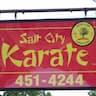 Salt City Karate company logo