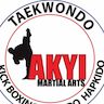 AKYI Martial ARTS company logo