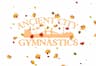 Ancient City Gymnastics company logo