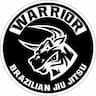 Warrior Brazilian Jiu Jitsu Academy company logo