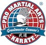 Pro Martial Arts Lake Orion company logo