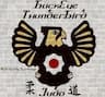 Buckeye Thunderbird Judo company logo