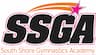 South Shore Gymnastics Academy company logo