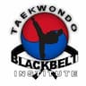 Black Belt Institute company logo