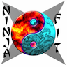 Ninja Fit (Olathe) company logo