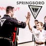 Ultimate Leadership Martial Arts - Springboro company logo