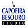 Capoeira Besouro Studio company logo