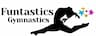 Funtastics company logo