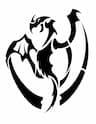 Freestyle Martial Arts Academy company logo