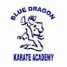 Blue Dragon Karate Academy company logo