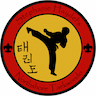 Northshore Taekwondo company logo