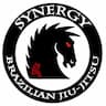 Kids Synergy Jiu-Jitsu Page company logo