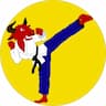 Joerg's American Karate Studio company logo