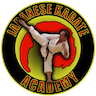 Japanese Karate Academy company logo