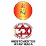KI Martial Arts - Westchester Krav Maga company logo