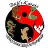 Brill's Karate company logo