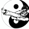 International Karate Academy - Somers Point company logo