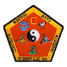 Cervizzi's Martial Arts Academy company logo