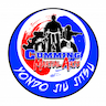 Cumming Martial Arts company logo