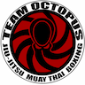 Team Octopus Sandy Springs company logo