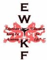 Edgewater Kungfu Academy company logo