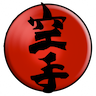 Japan Karate Institute of North Charleston company logo