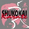 Tenafly Shukokai Karate company logo