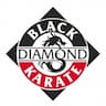 Black Diamond Karate company logo