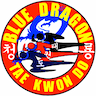 Blue Dragon Tae Kwon Do company logo