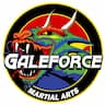 GaleForce Martial Arts company logo