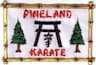 Pineland Karate School company logo