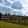 Autumn Creek Stables company logo