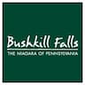 Bushkill Falls company logo