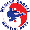 Wesley Chapel Martial Arts Academy company logo