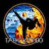 Tiger Institute Tae Kwon Do company logo