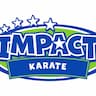 Impact - Karate company logo