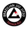 Soneca Brazilian Jiu Jitsu company logo