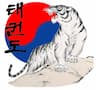 Black Tiger Tae Kwon Do company logo