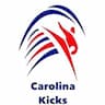 Carolina Tae Kwon Do Academy company logo