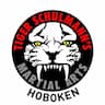 Tiger Shulmann's Karate company logo