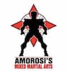 Amorosi's Mixed Martial Arts company logo