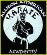 Allison American Karate Academy company logo