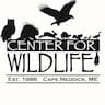 Center for Wildlife company logo